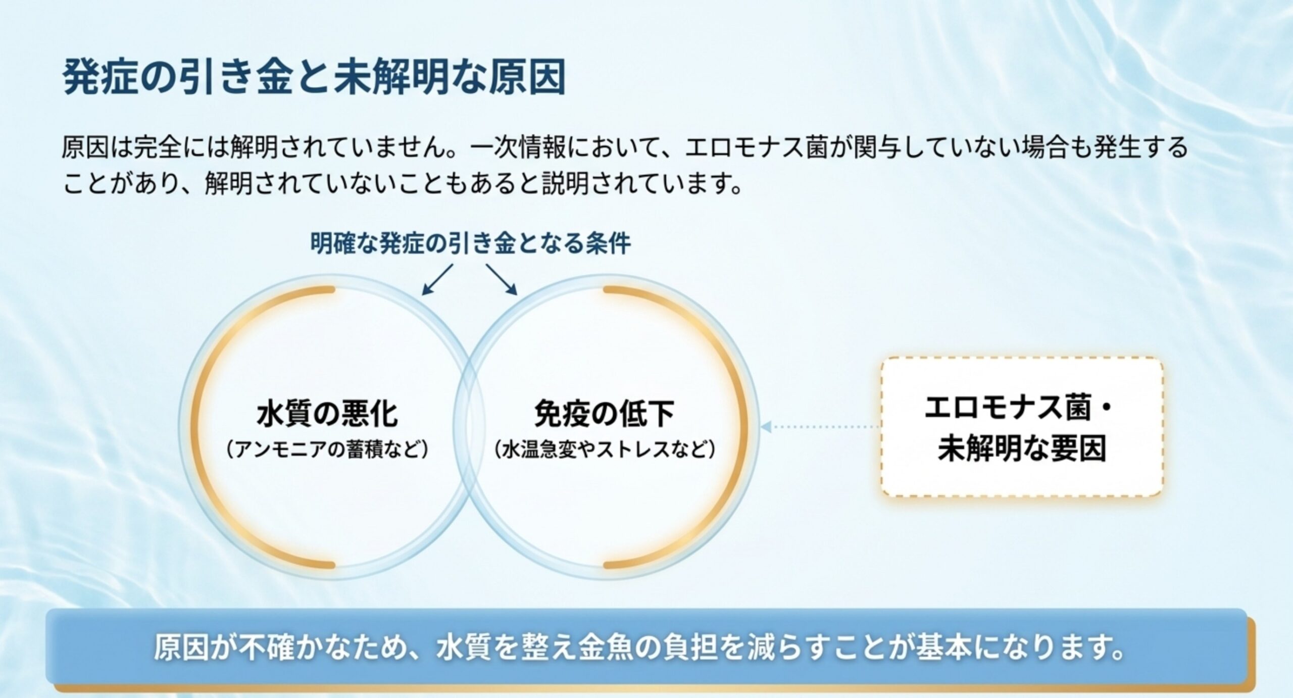 水質の悪化と免疫の低下という引き金の重なりを示し、原因菌以外の要因が残ることを説明したスライド