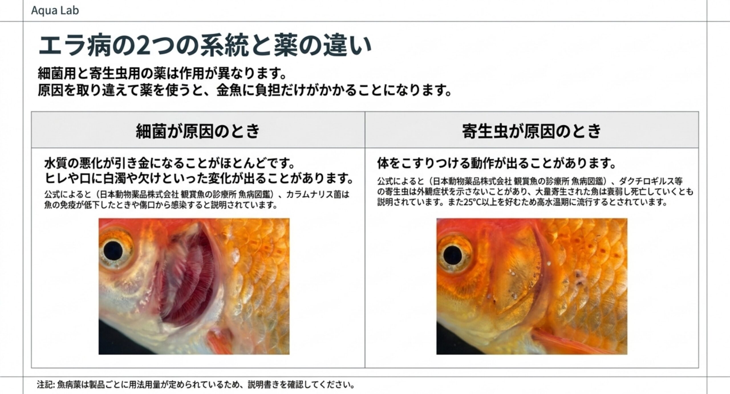 細菌が原因のときと寄生虫が原因のときで、症状の出方と選ぶ薬が変わることを左右に並べて比べたスライド