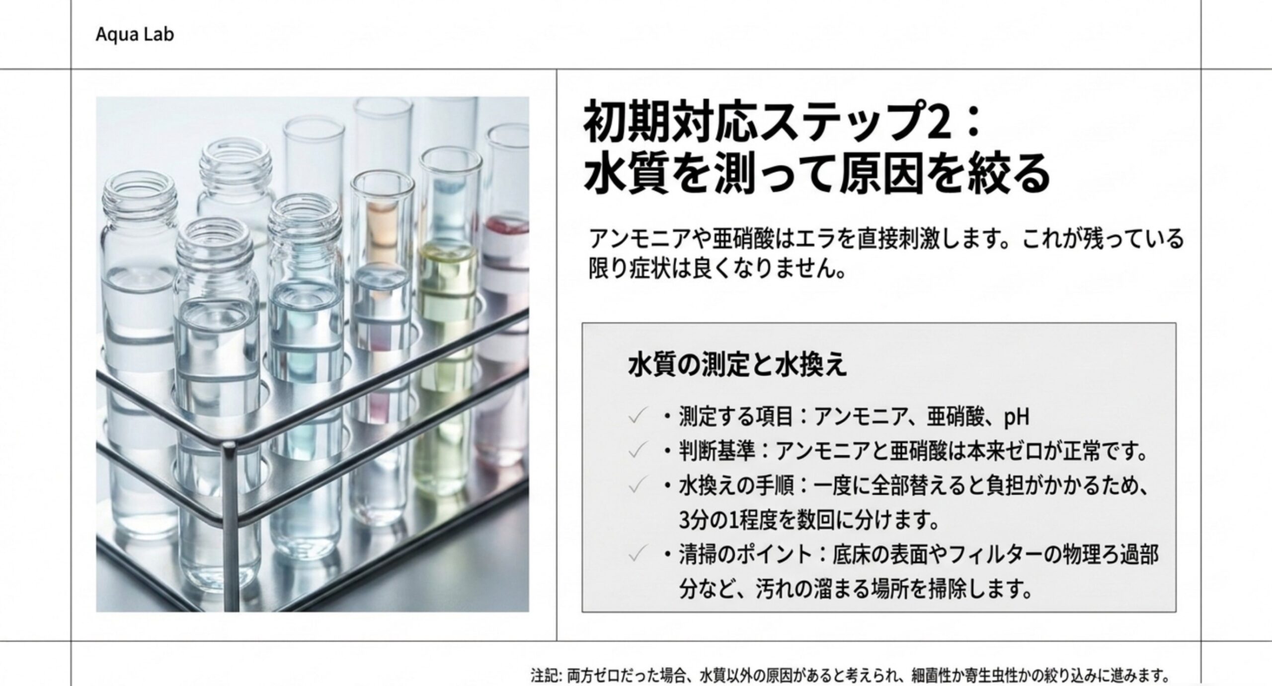アンモニア・亜硝酸・pHを測り、検出されたら3分の1程度の水換えを数回に分ける手順を示したスライド