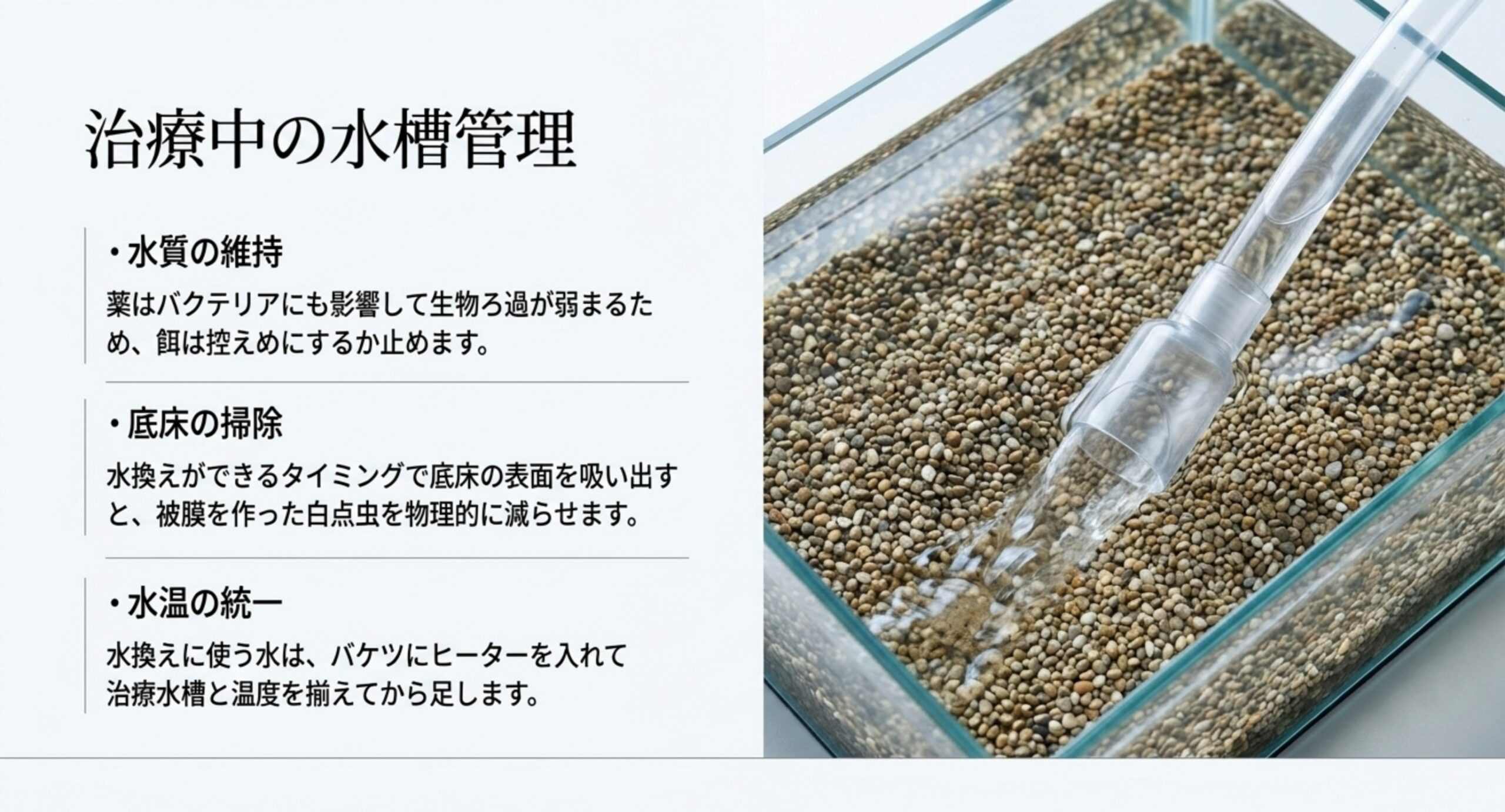 治療中の水質の維持・底床の掃除・水換えに使う水の水温合わせという3点を並べたスライド