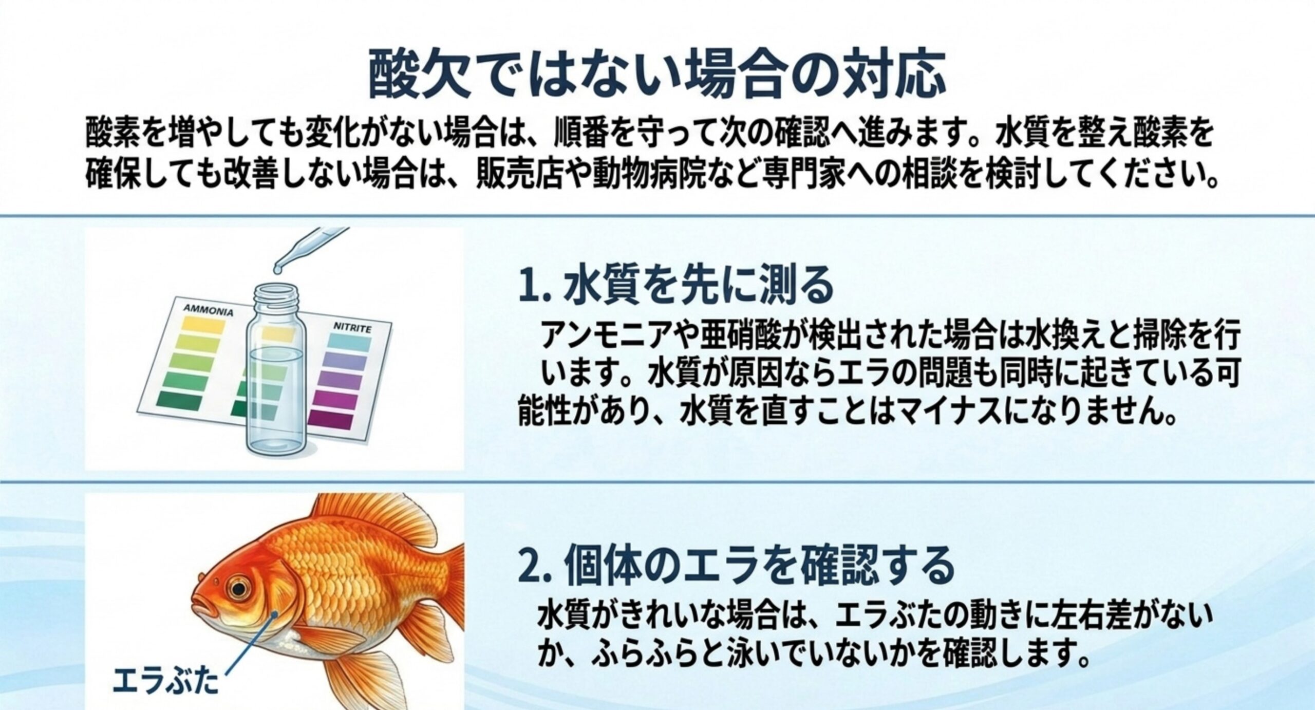 先に水質を測り、水質がきれいならエラぶたの動きを確認するという順番を示したスライド
