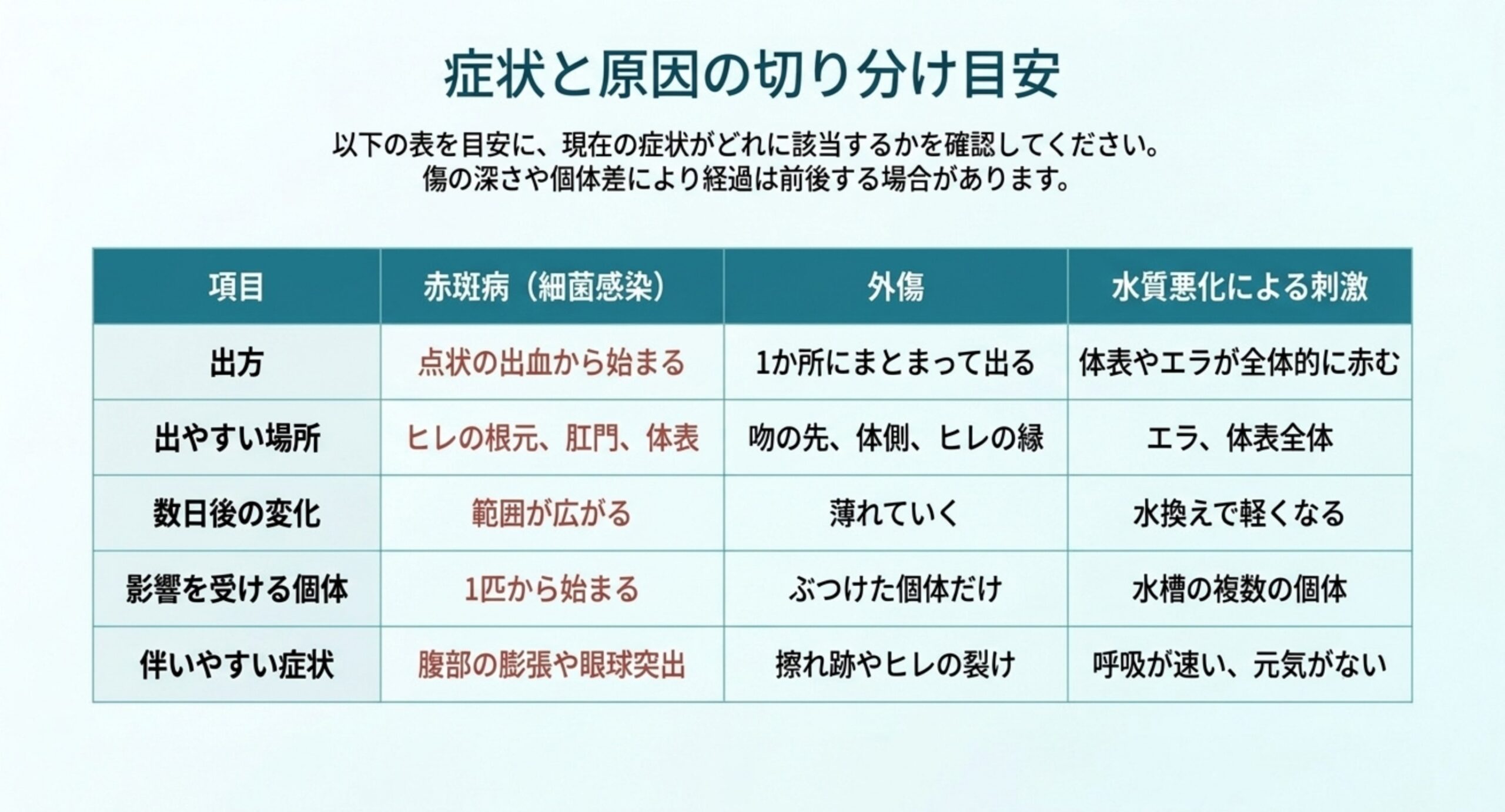出方・出やすい場所・数日後の変化・影響を受ける個体・伴いやすい症状の5項目で赤斑病と外傷と水質悪化を比べた表のスライド