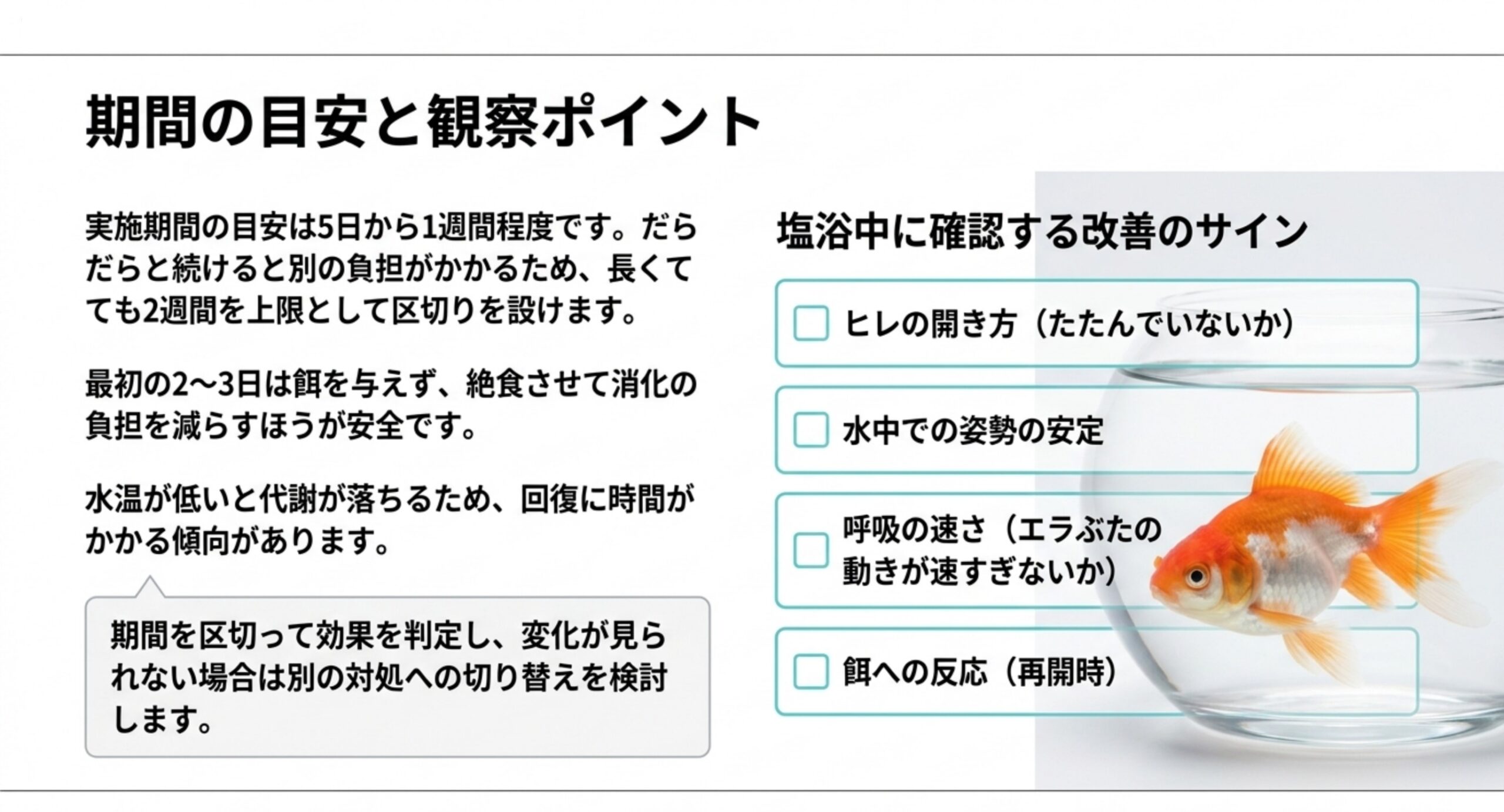 塩浴の期間の目安を5日から1週間とし、ヒレの開き方や姿勢など塩浴中に確認する項目を並べたスライド