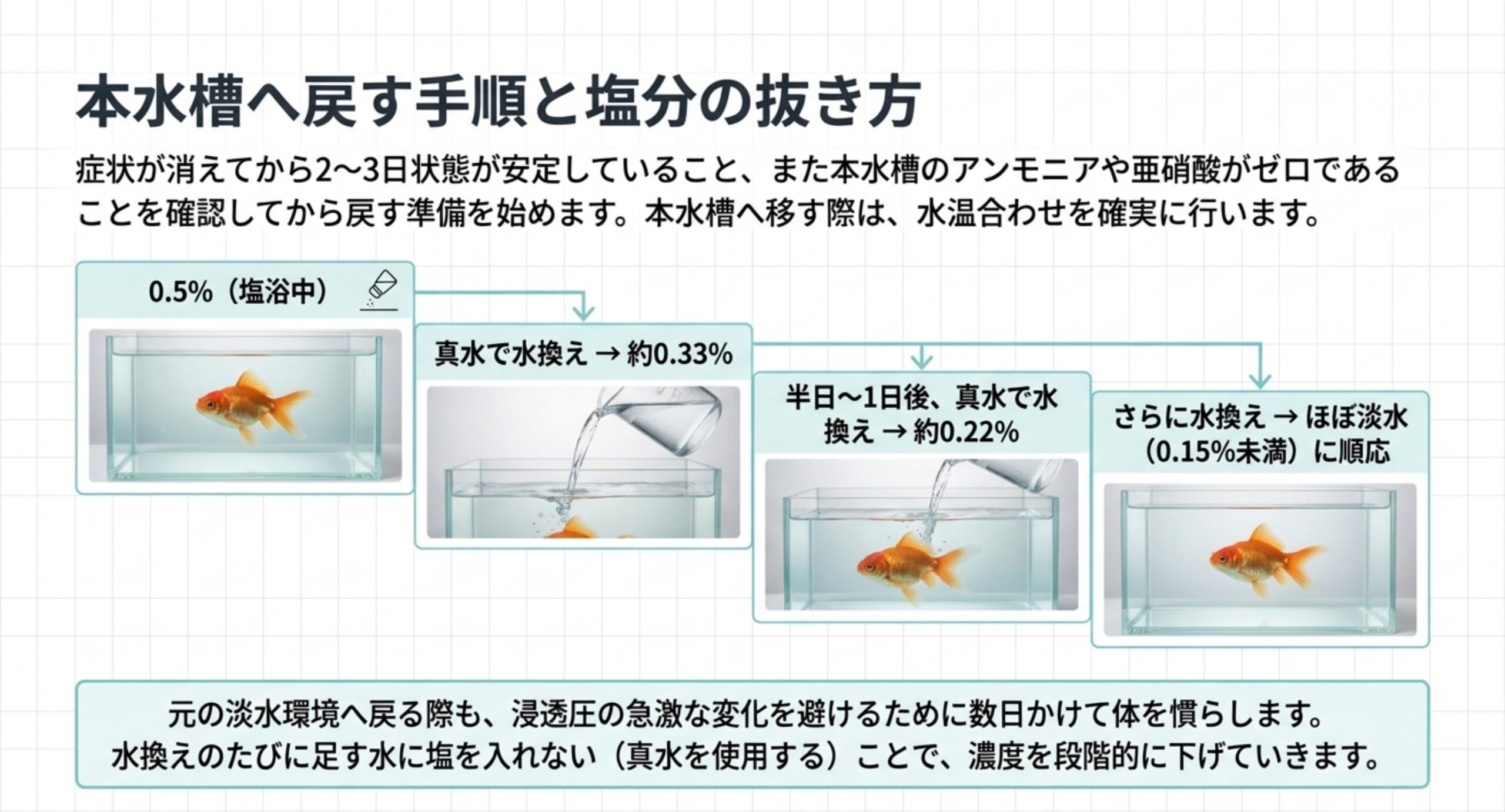 0.5%から約0.33%、約0.22%、0.15%未満へと真水の水換えで濃度を段階的に下げる流れを示したスライド