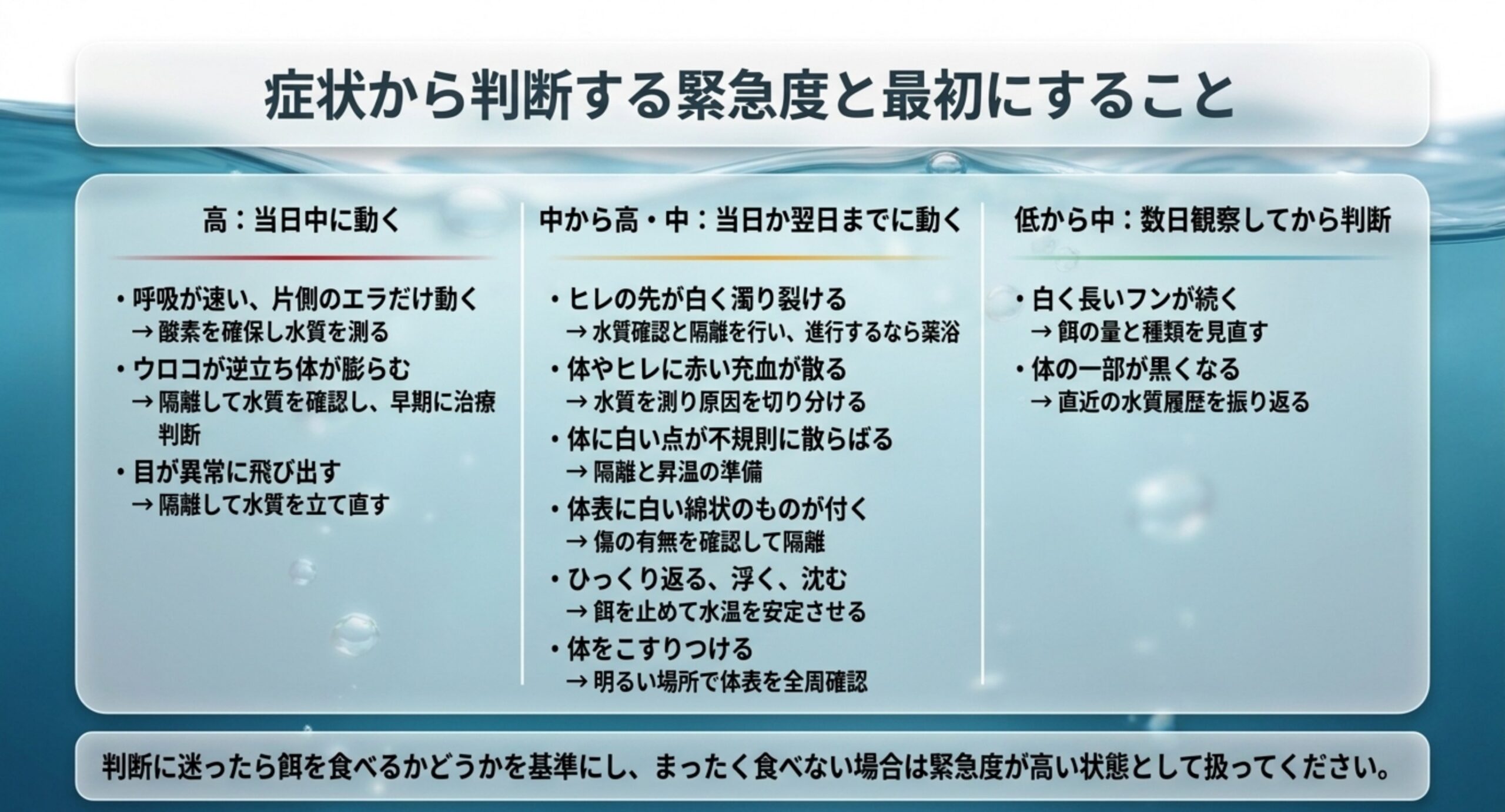 金魚の症状を緊急度の高・中・低の3段階に分け、それぞれで最初にすることを並べた一覧のスライド