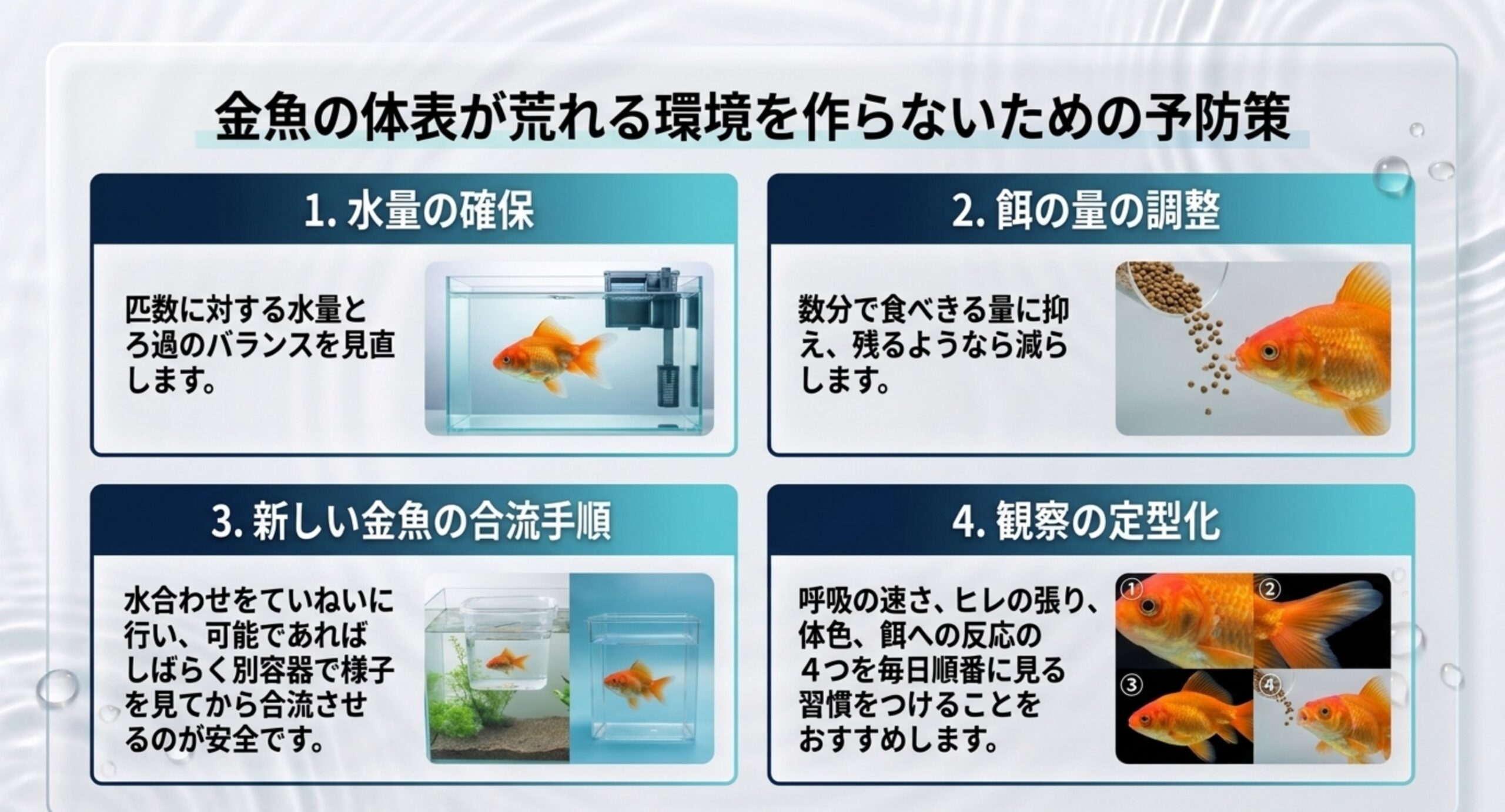 水量の確保、餌の量の調整、新しい金魚の合流手順、観察の定型化という4つの予防策を並べたスライド