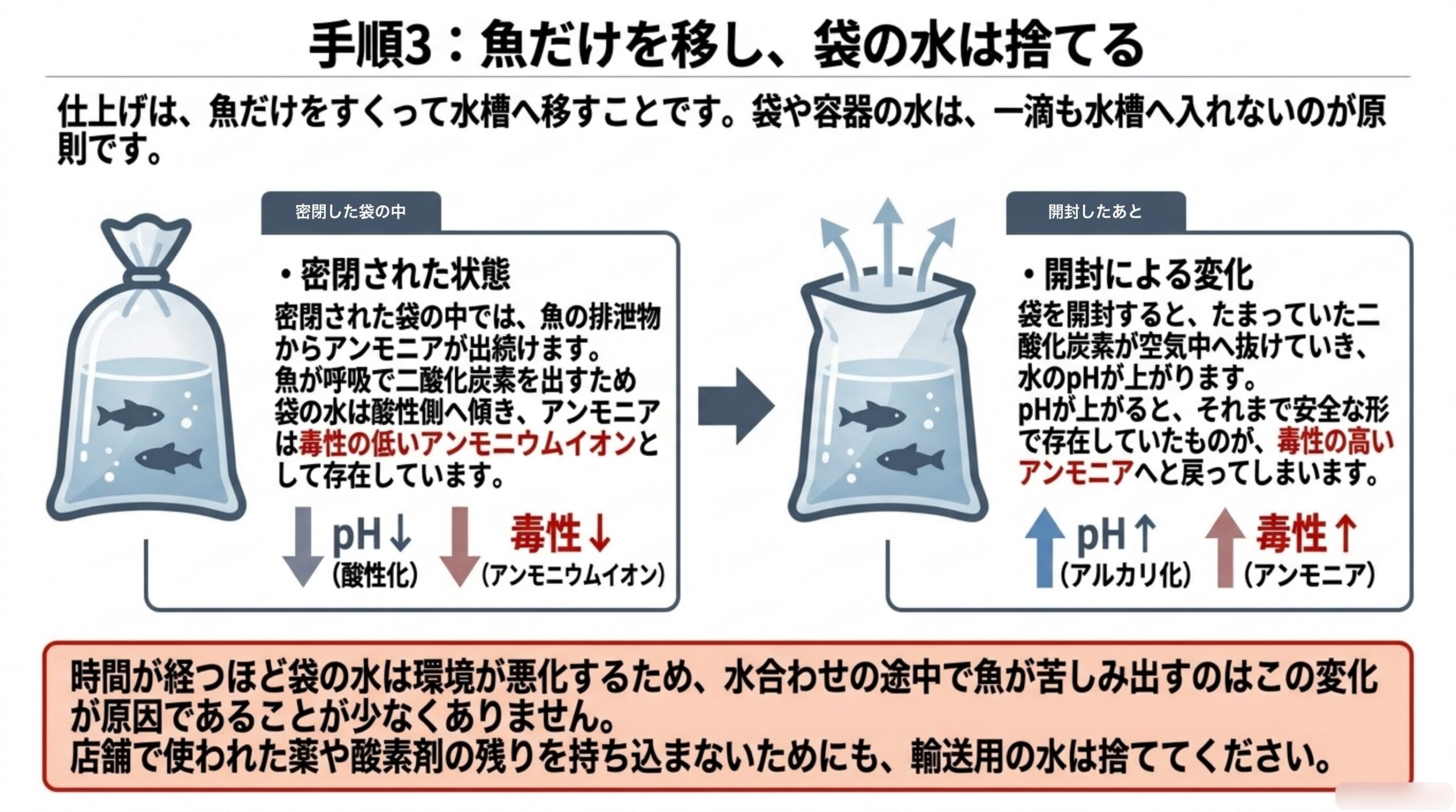 密閉された袋の中では二酸化炭素で酸性に傾き毒性の低いアンモニウムイオンとして存在していたものが、開封後のpH上昇で毒性の高いアンモニアへ戻るしくみを図解したスライド
