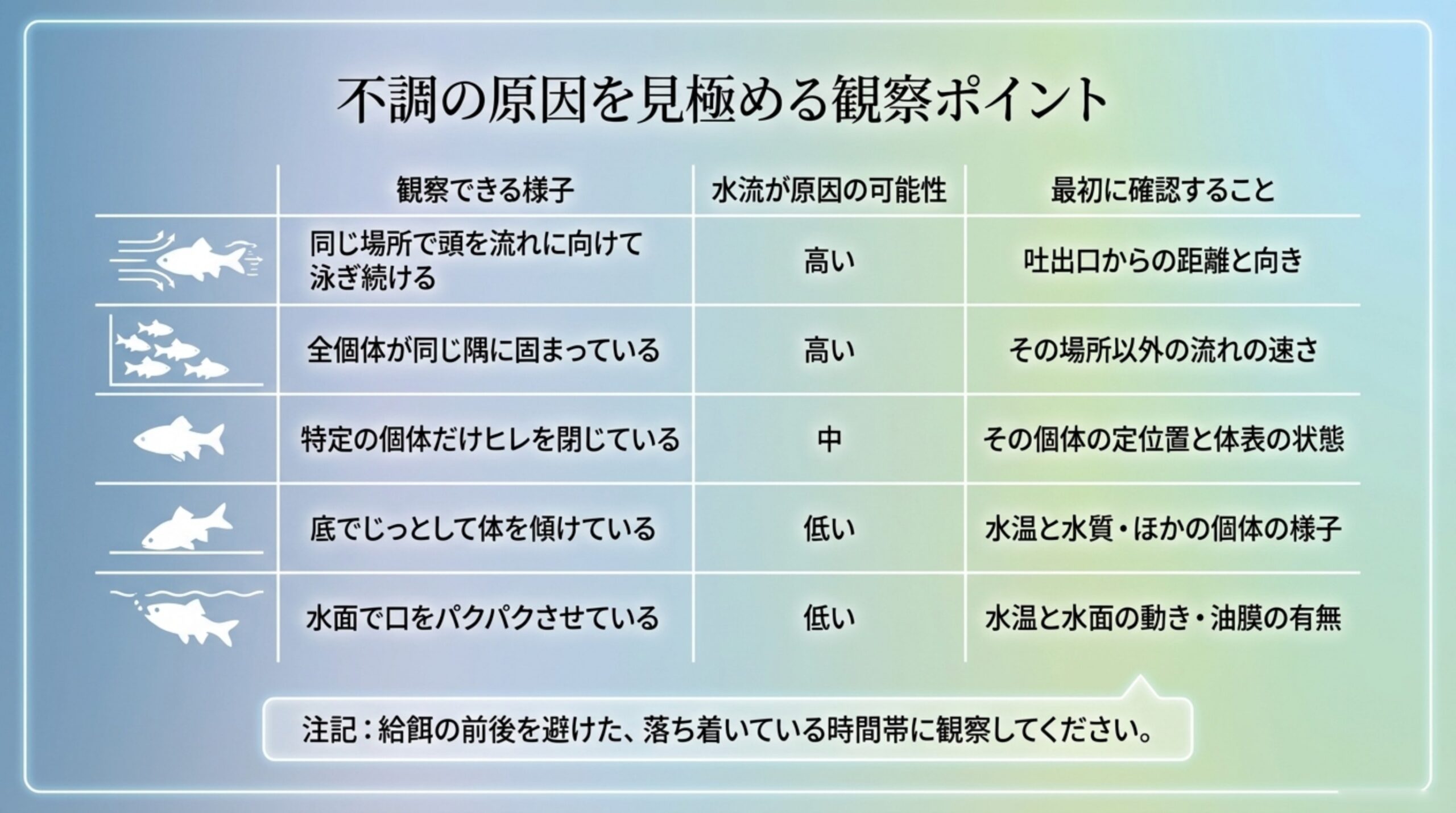 同じ場所で泳ぎ続ける、隅に固まる、底で傾く、水面で口をパクパクさせるなど、観察できる様子ごとに水流が原因の可能性と最初に確認することを整理した表のスライド