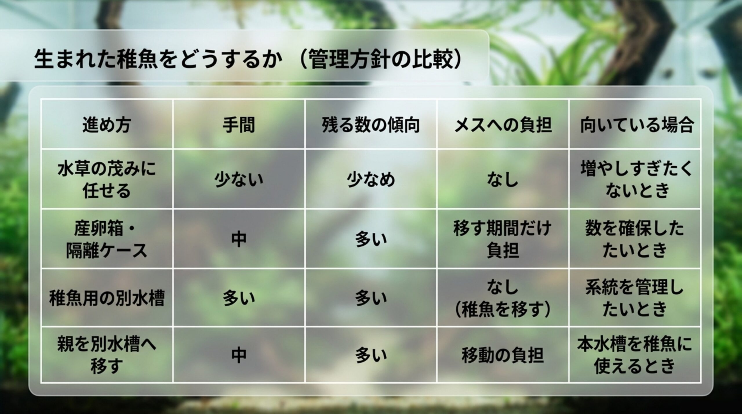 水草の茂みに任せる、産卵箱や隔離ケース、稚魚用の別水槽、親を別水槽へ移す、という4つの進め方について手間と残る数、メスへの負担を比較した表のスライド