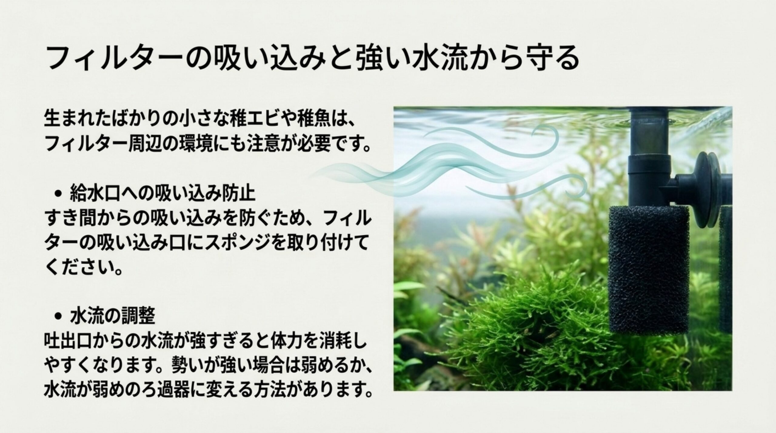 フィルターの吸い込み口にスポンジを付けた写真と、稚エビや稚魚を吸い込みと強い水流から守る方法をまとめたスライド