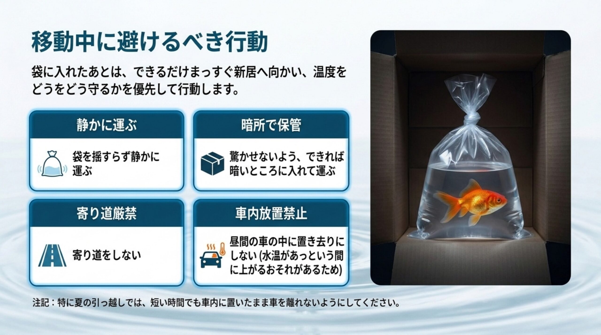 金魚を入れた袋は揺らさず静かに運び、暗いところに入れ、寄り道をせず、昼間の車内に置き去りにしないことを示したスライド