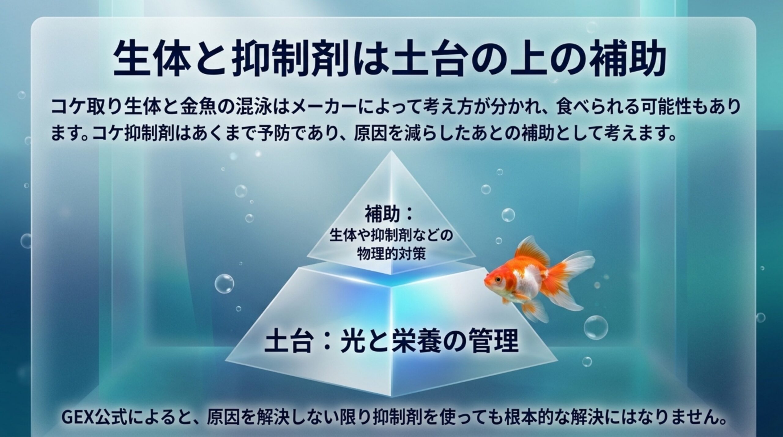 光と栄養の管理を土台にし、コケ取り生体やコケ抑制剤は補助として考えることと、抑制剤だけでは根本的な解決にならないことを示したスライド