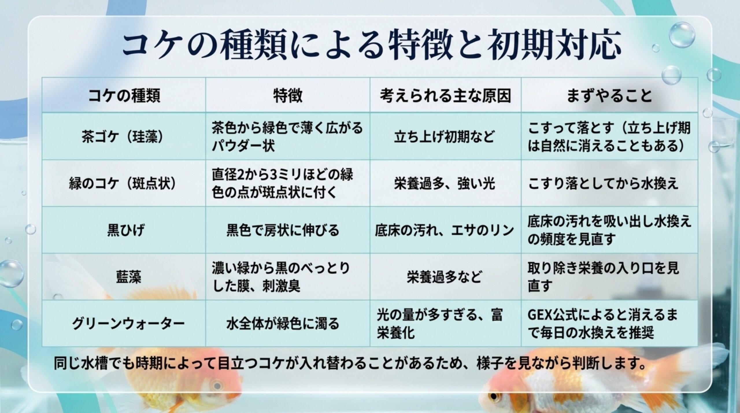 茶ゴケ・斑点状の緑のコケ・黒ひげ・藍藻・グリーンウォーターの特徴と考えられる主な原因、まずやることを並べた表のスライド