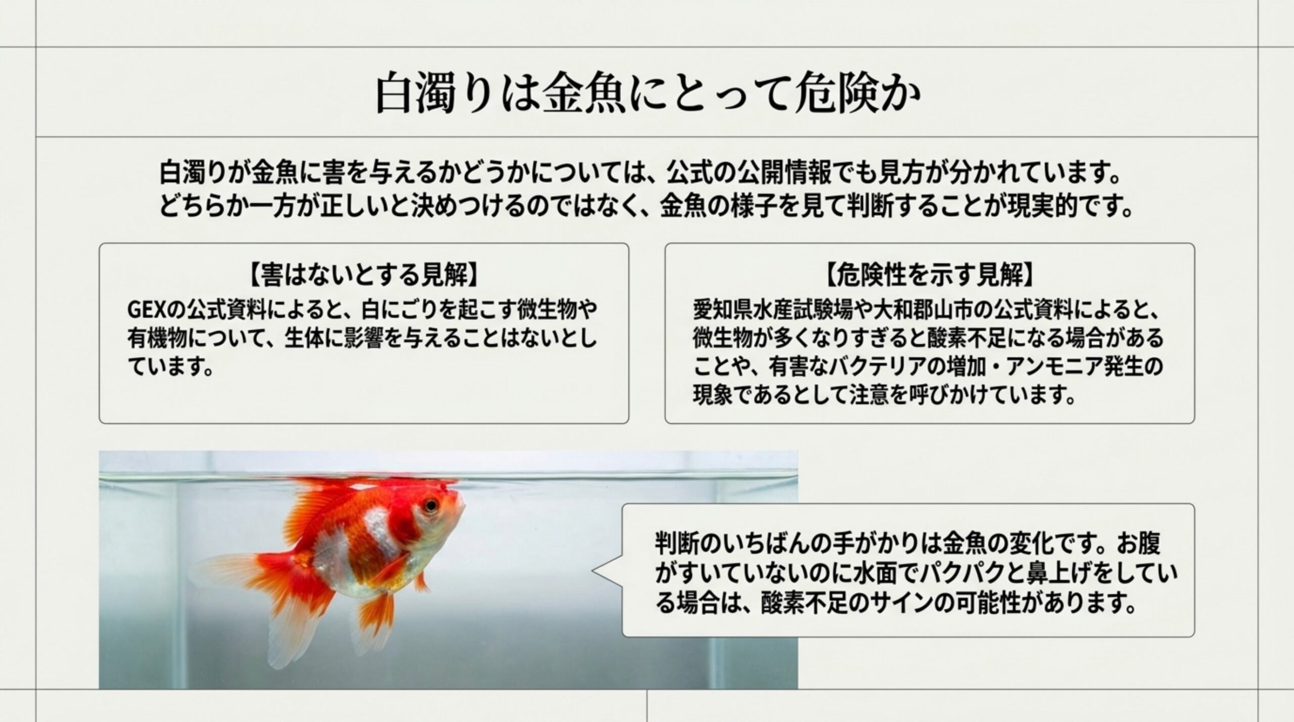 白濁りの害について、害はないとするGEXの見解と、酸素不足や有害なバクテリアに注意を促す愛知県水産試験場・大和郡山市の見解を並べ、金魚の様子で判断することを示したスライド