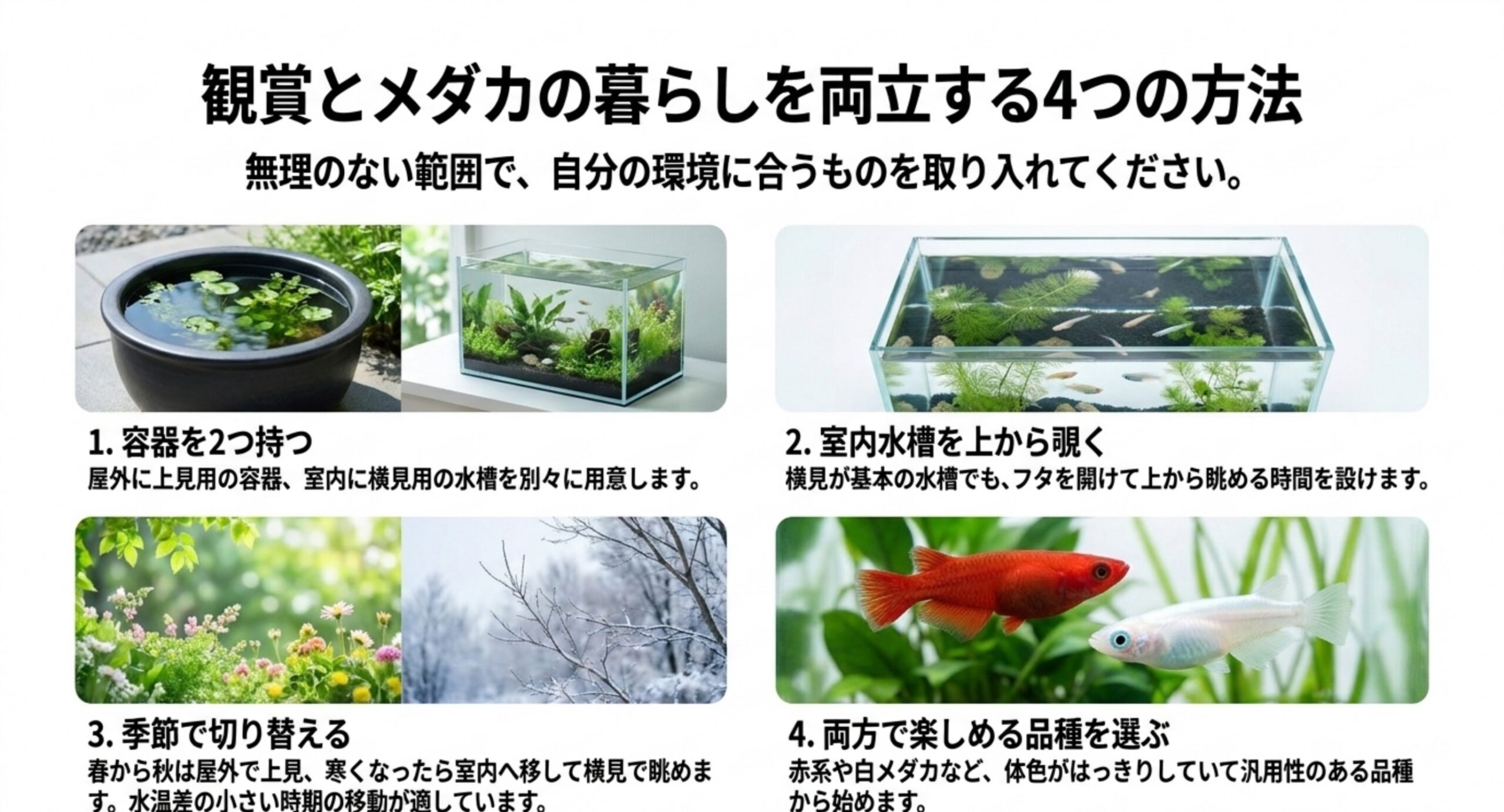 容器を2つ持つ・室内水槽を上から覗く・季節で切り替える・両方で楽しめる品種を選ぶの4案を写真つきで並べたスライド