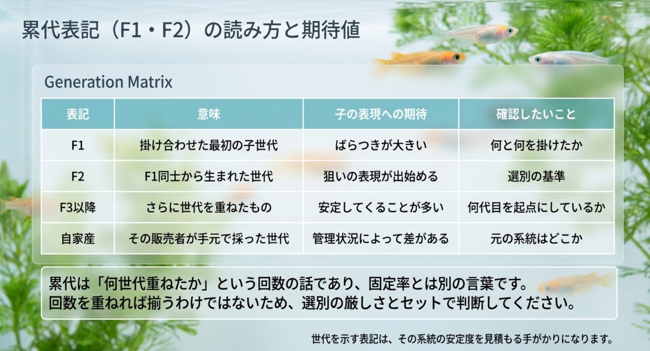 F1・F2・F3以降・自家産の4つの表記について、意味と子の表現への期待と確認したいことを並べた表のスライド
