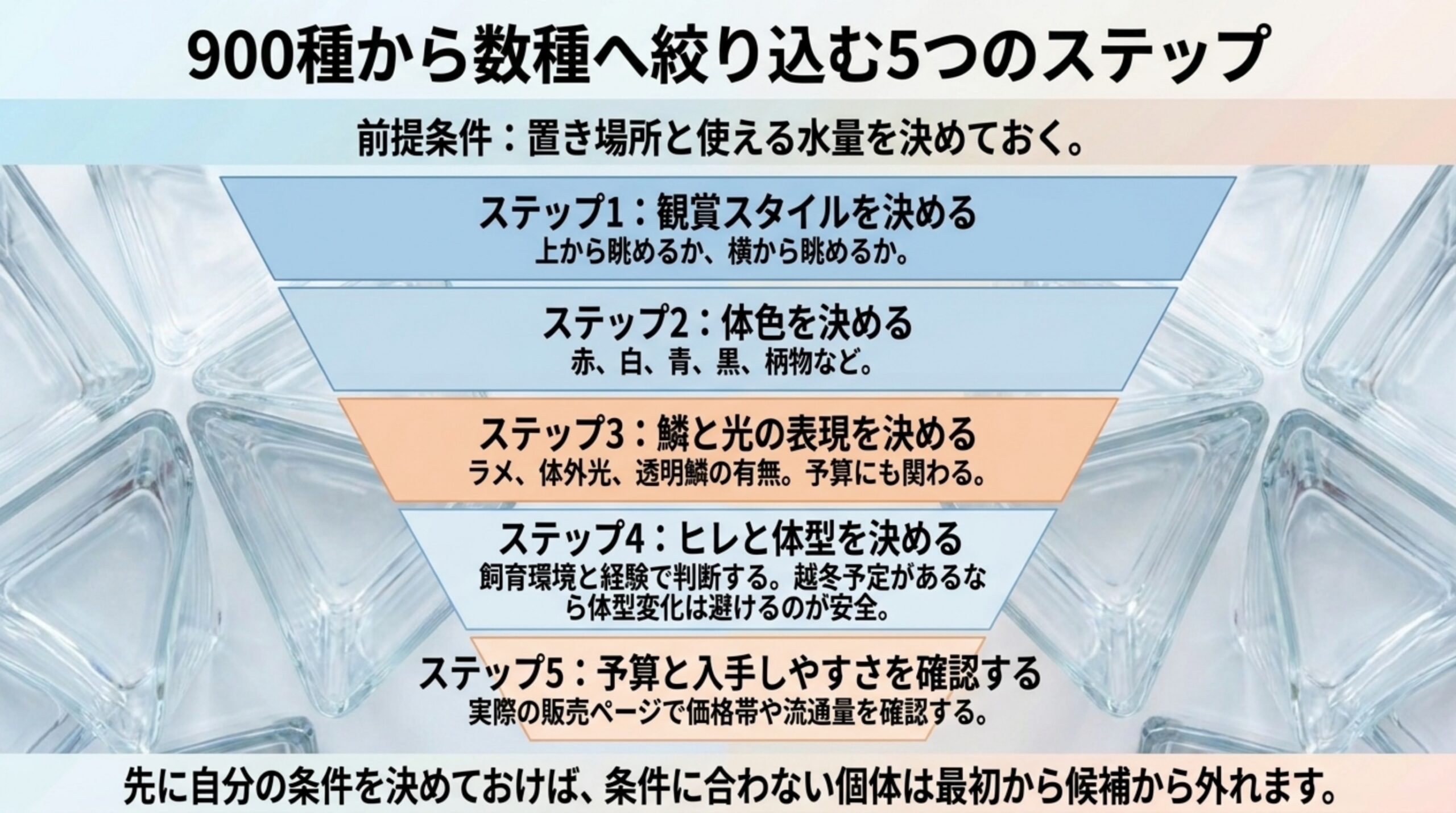 観賞スタイル・体色・鱗と光・ヒレと体型・予算と入手しやすさの順に絞り込む5段階を漏斗の形で示したスライド