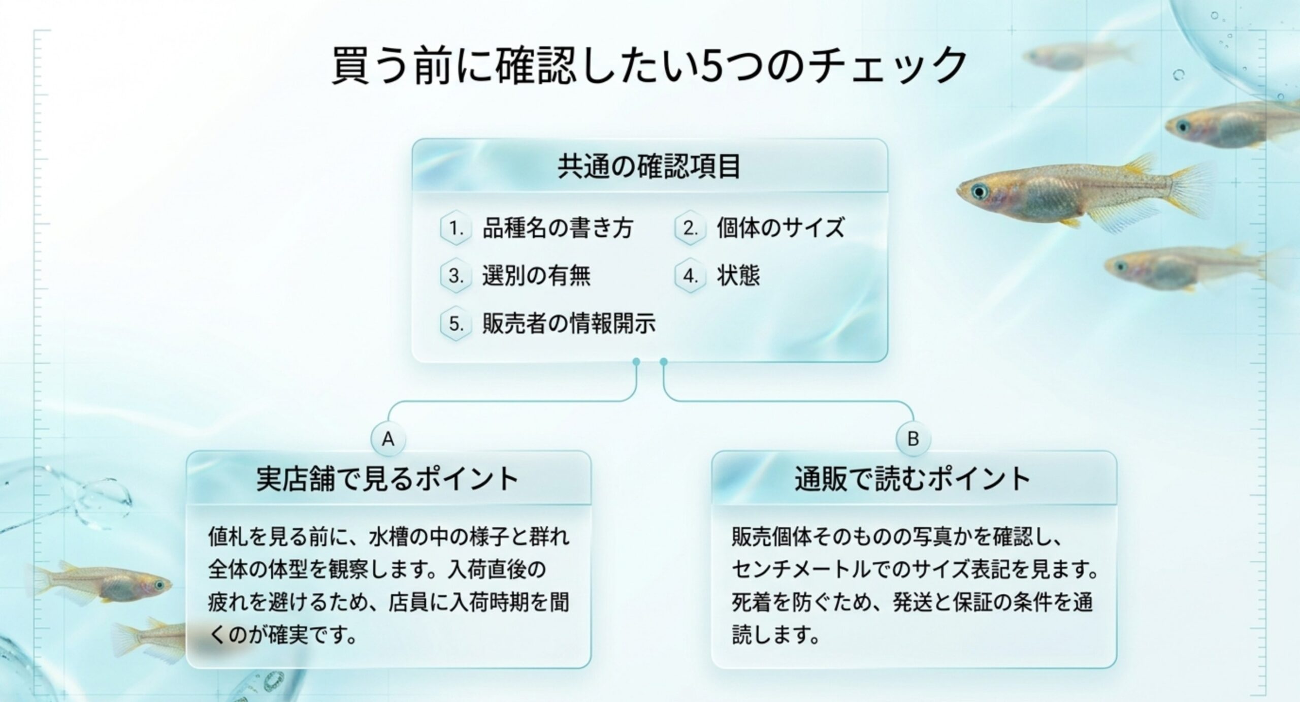 品種名の書き方・サイズ・選別の有無・状態・販売者の情報開示という5項目と、実店舗と通販での見方を示したスライド