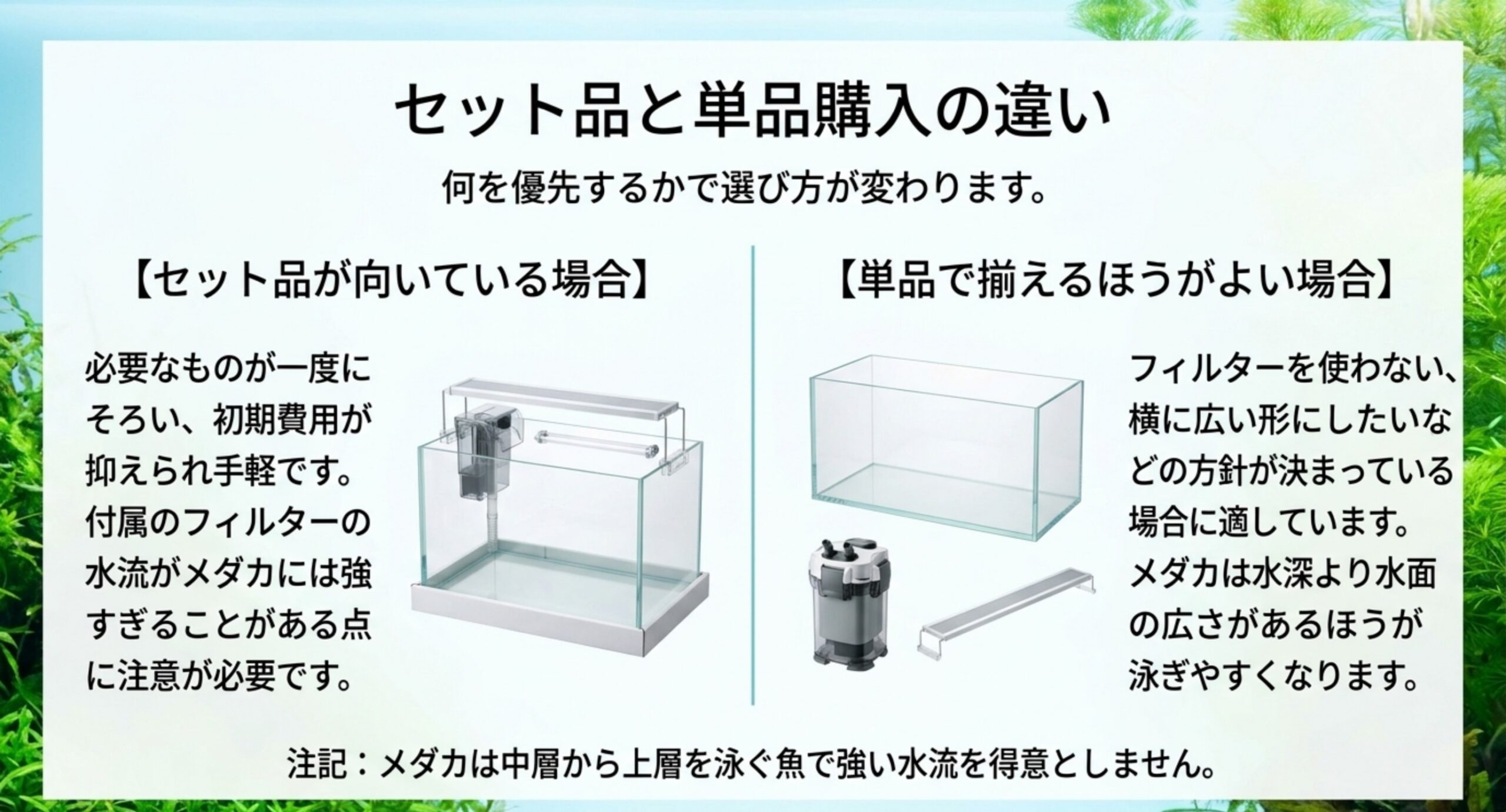 フィルター付きのセット水槽と単品のガラス水槽を並べ、それぞれが向いている場面をまとめたスライド