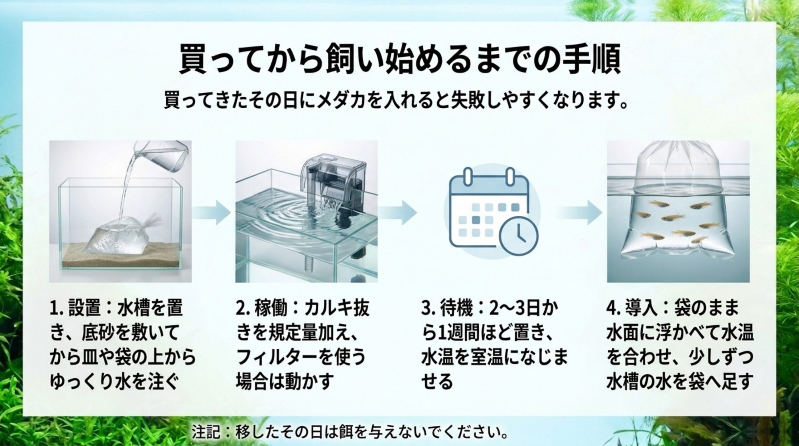 設置・稼働・待機・導入という立ち上げの4手順を、水槽と袋の写真で順に示したスライド