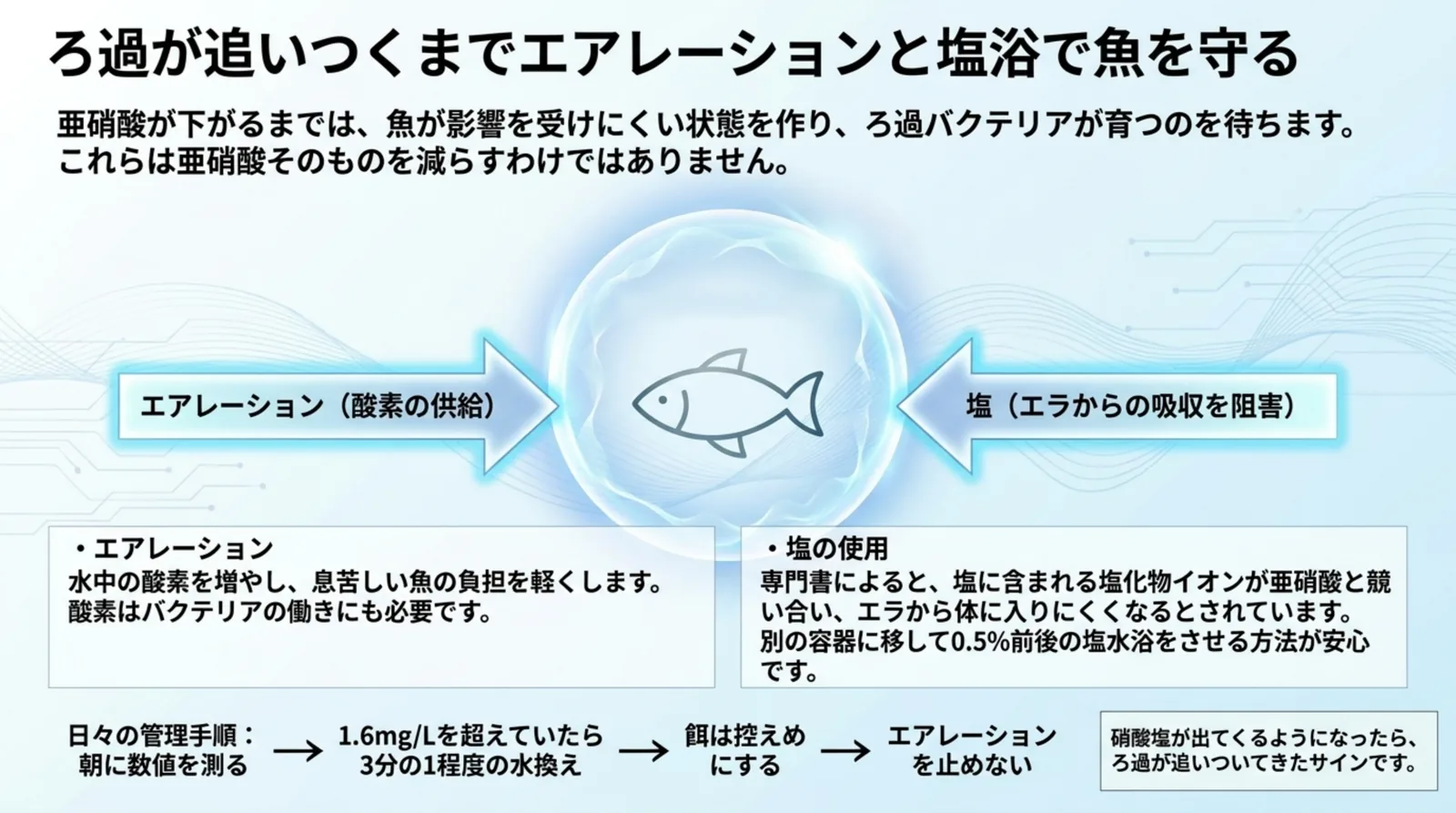 エアレーションで酸素を補い、塩の塩化物イオンで亜硝酸を体に入りにくくして魚を守る考え方と、毎日の管理の流れの図解