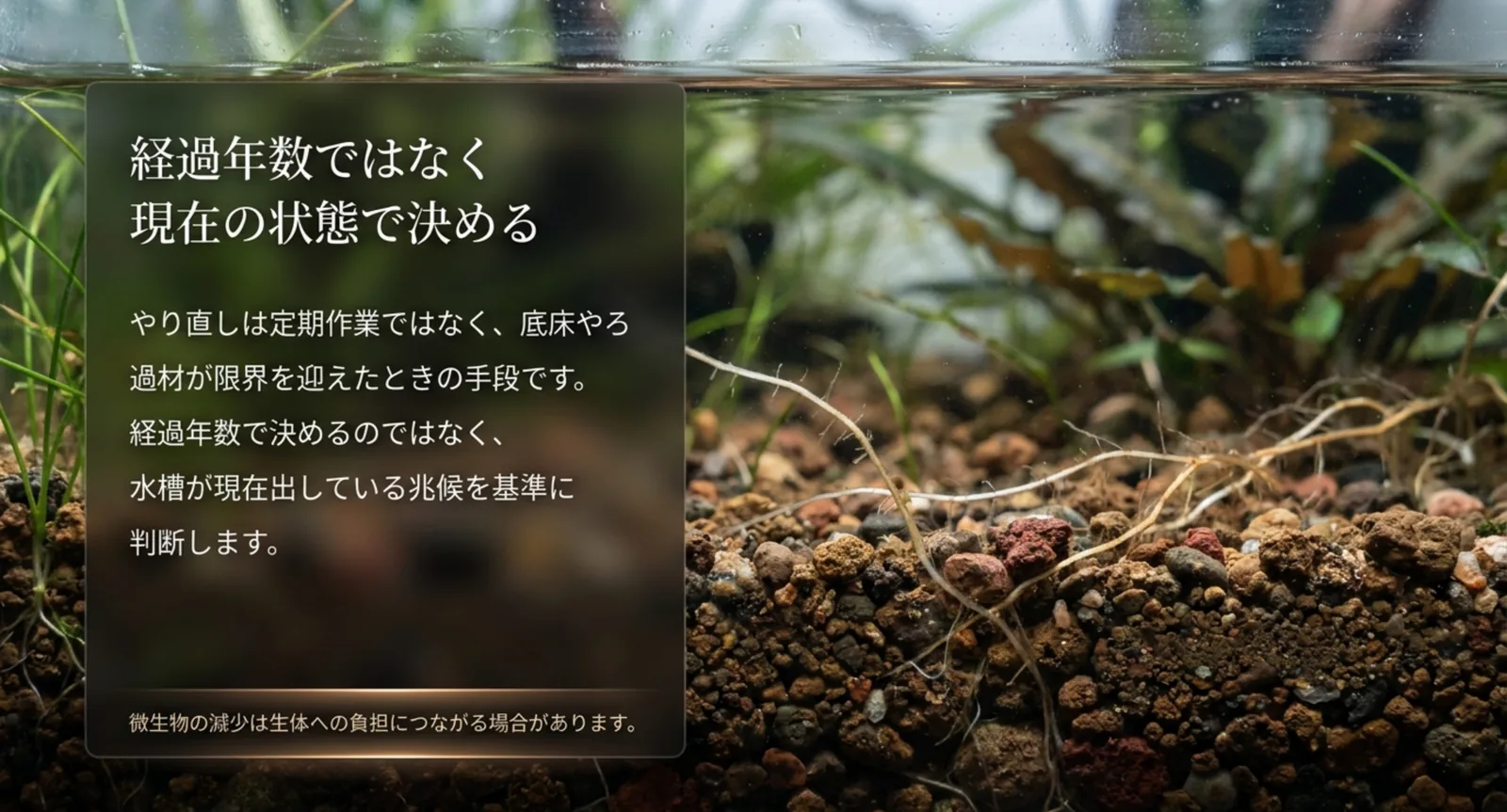 底床と水草を写した写真の上に、リセットは経過年数ではなく水槽が今出している兆候を基準に判断すると示したスライド