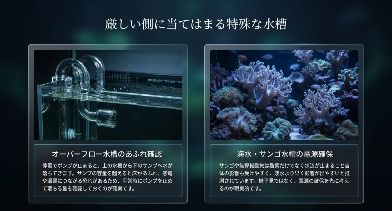 オーバーフロー水槽の配管とサンゴ水槽の写真を並べ、あふれの確認と電源の確保をそれぞれ優先すべき理由を説明したスライド