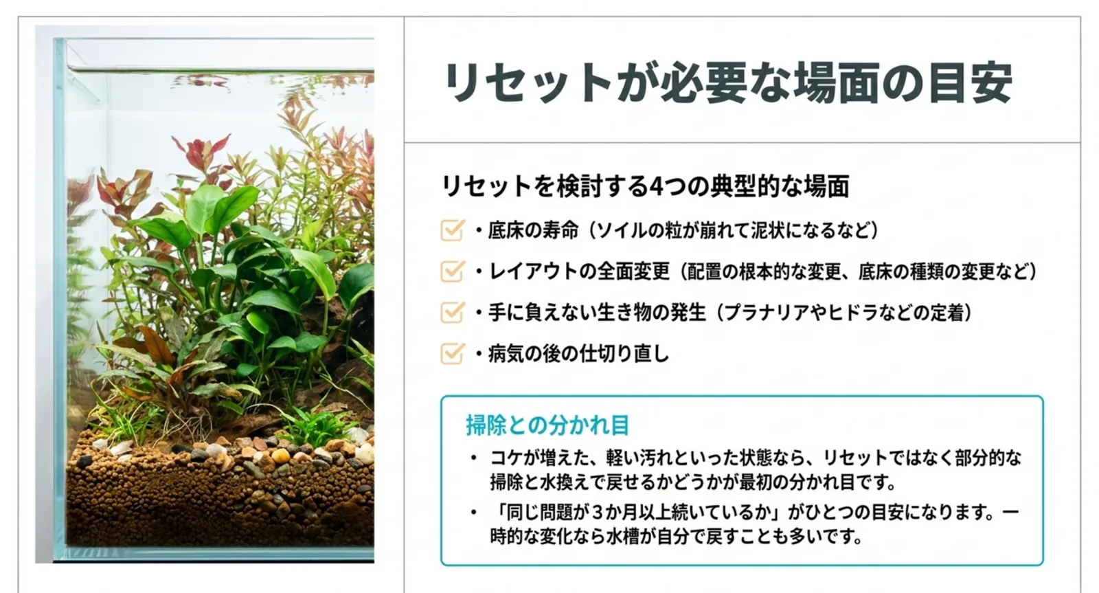 底床の寿命、レイアウトの全面変更、手に負えない生き物、病気の後という四つの場面を挙げ、掃除との分かれ目を示したスライド
