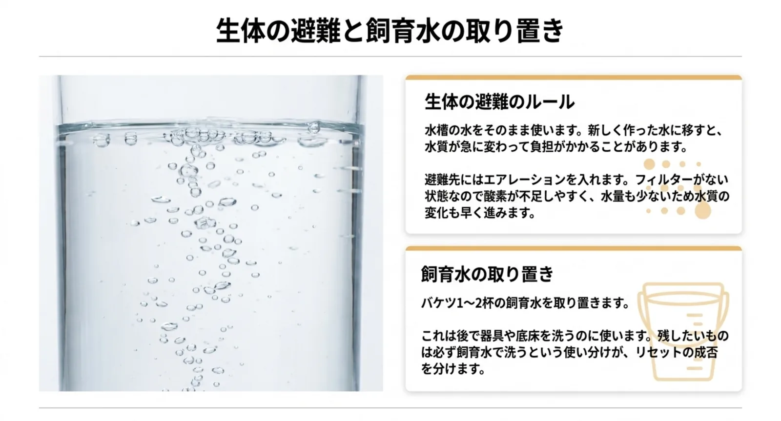 水槽の水をそのまま使って生体を避難させること、飼育水をバケツ一から二杯取り置くことを説明したスライド