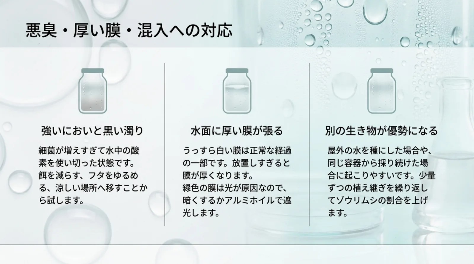 強いにおいと黒い濁り、水面の厚い膜、別の生き物が優勢になる、の3つの症状について、原因と最初に試す対処を容器のイラストとともに並べたスライド