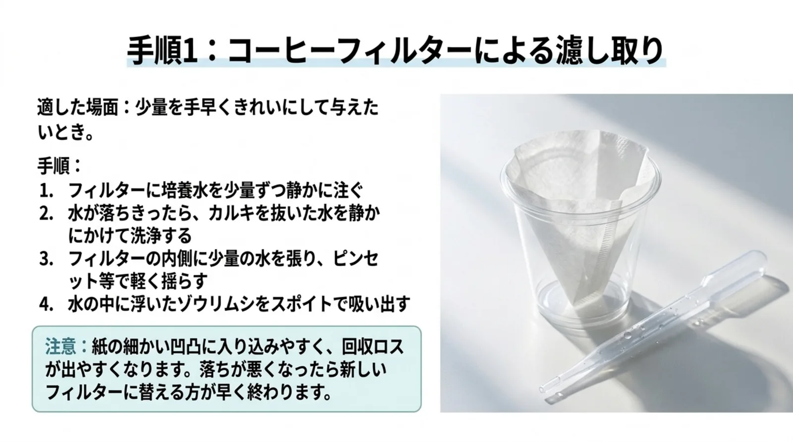透明なカップにセットした紙のコーヒーフィルターとスポイトの写真の横に、静かに注ぐ・水をかけて洗う・内側に水を張って揺らす・浮いたゾウリムシを吸う、の手順を並べたスライド