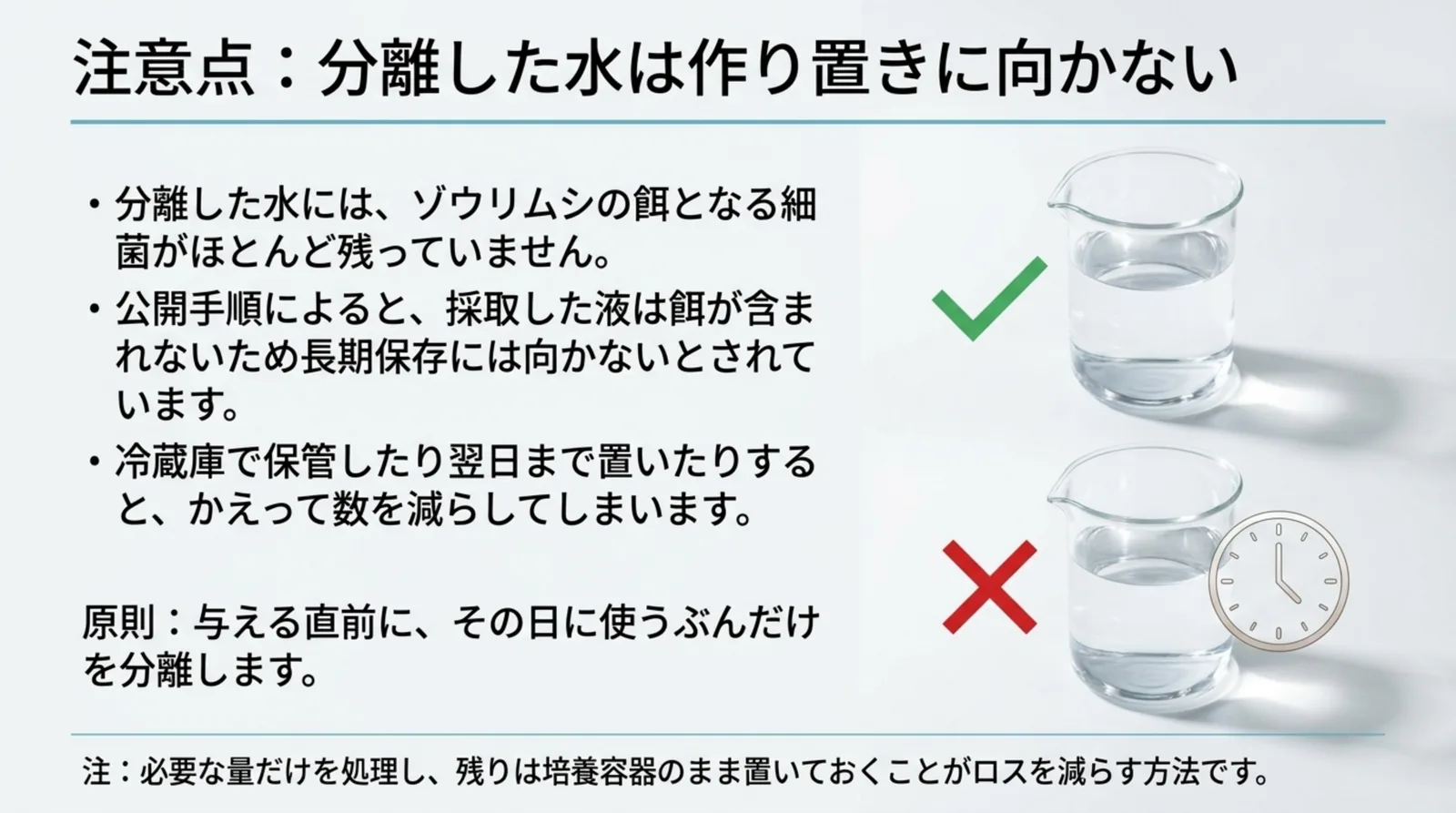 分離した水には餌となる細菌がほとんど残らないため、与える直前にその日のぶんだけ分離するという原則を、ビーカーと時計の図で示したスライド
