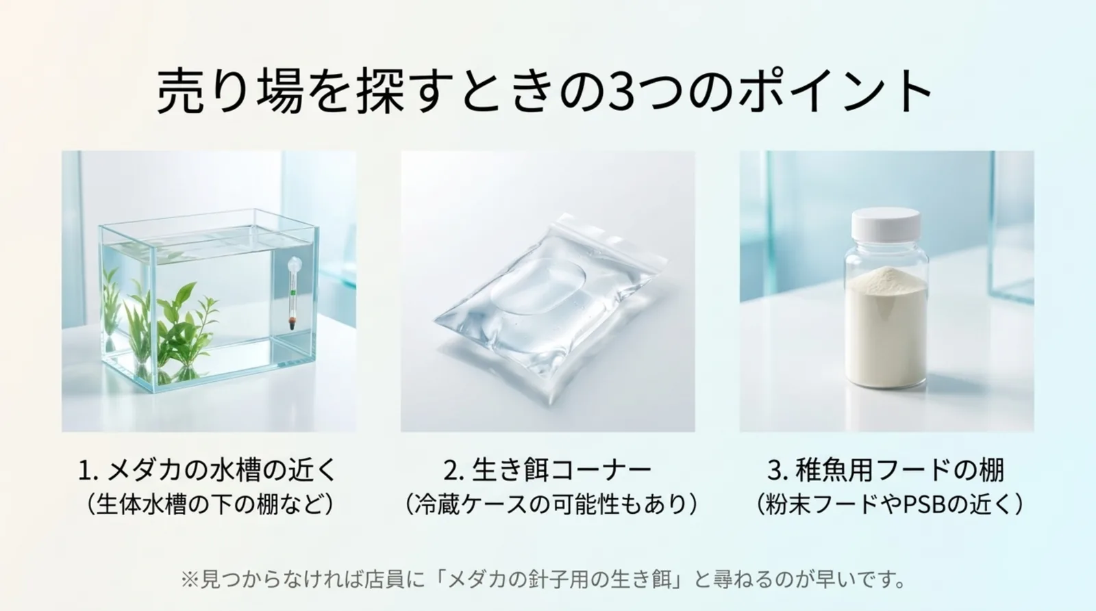 メダカの水槽の近く、生き餌コーナー、稚魚用フードの棚の3か所を、水槽・水の入った袋・粉末の容器の写真で示したスライド