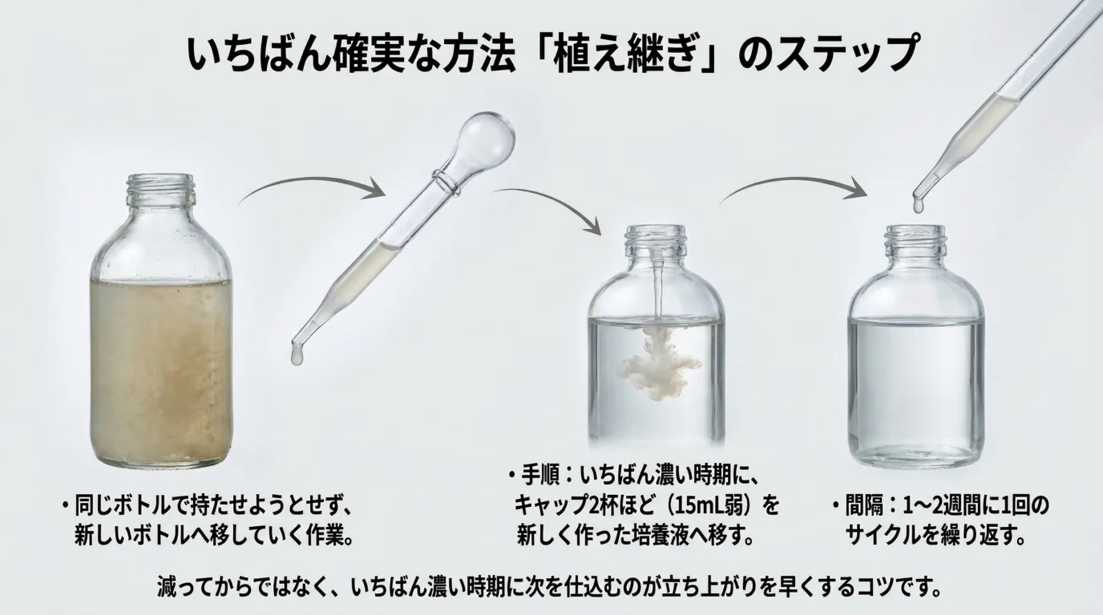 濃い培養ボトルからスポイトで採り、新しい培養液へキャップ2杯ほどを移す流れを瓶の写真で示し、1〜2週間に1回の間隔を添えたスライド