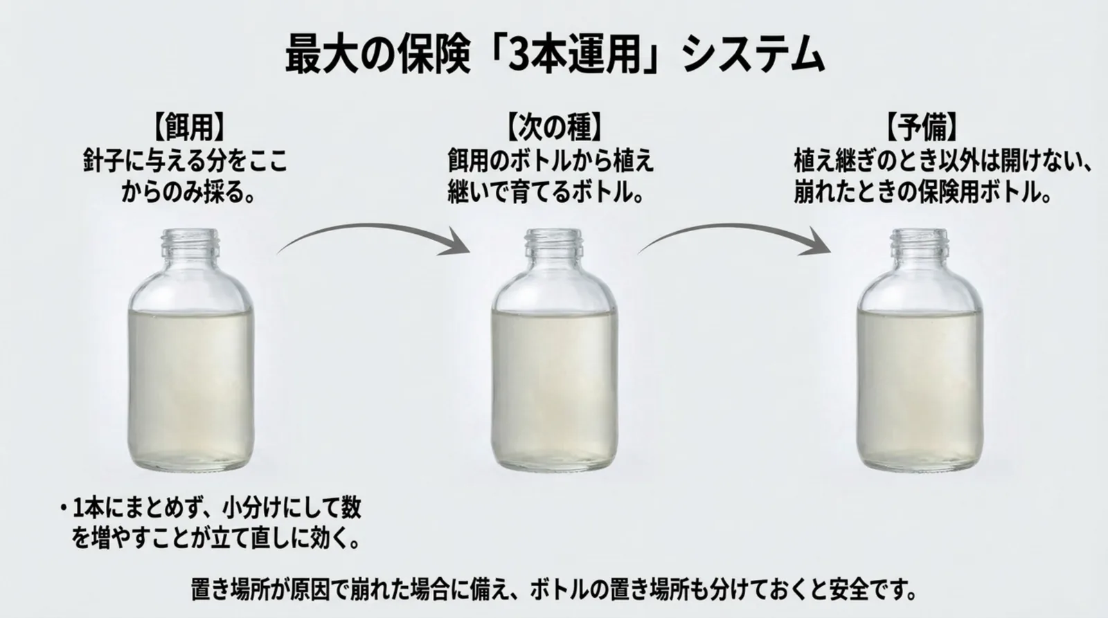 餌用・次の種・予備の3本の瓶を並べ、それぞれの役割と置き場所を分ける理由を示したスライド