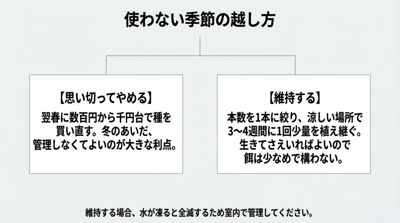 冬のあいだ思い切ってやめて翌春に買い直す方法と、1本に絞って3〜4週間に1回植え継いで維持する方法を左右に並べたスライド