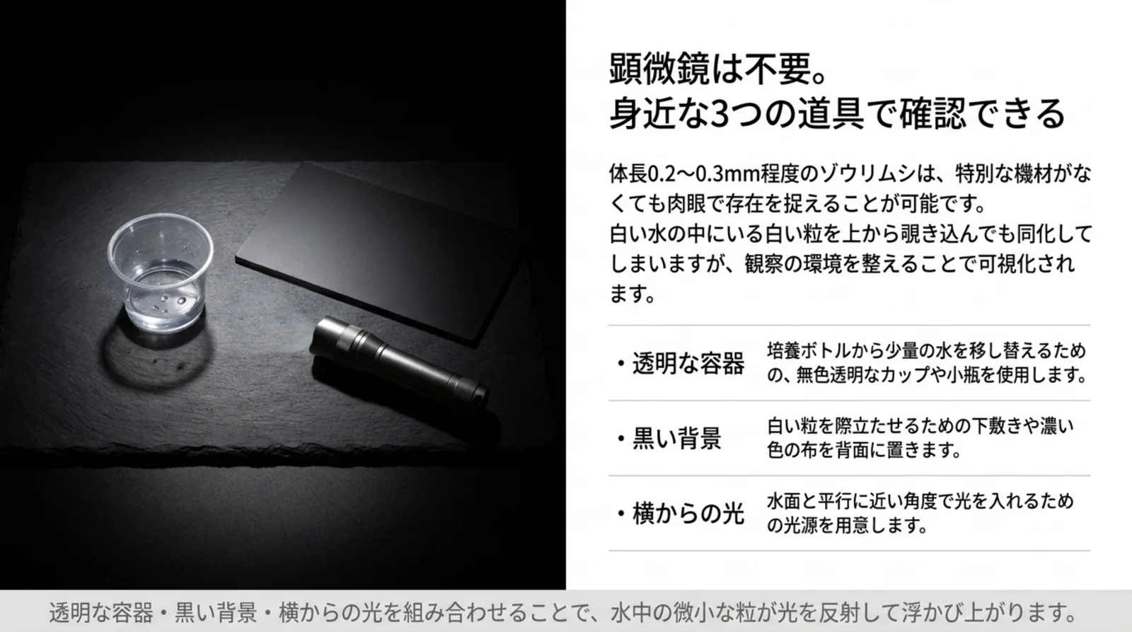 黒い台の上に透明なカップと黒い下敷きとライトを並べた写真とともに、透明な容器・黒い背景・横からの光の3つの役割を示したスライド