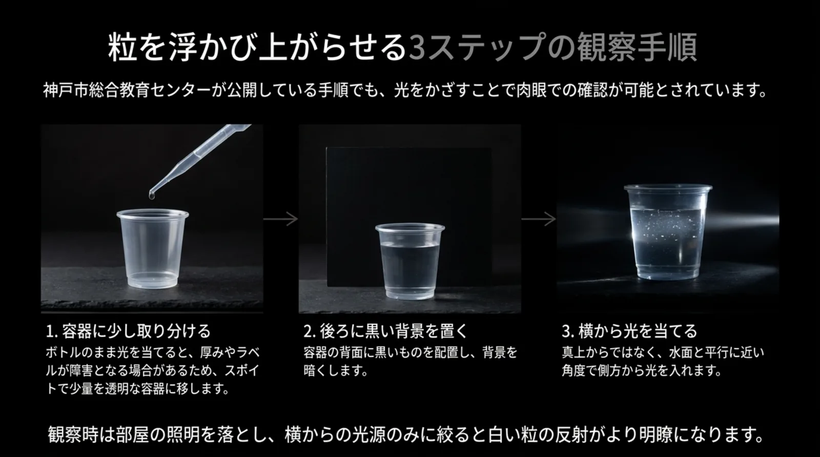 カップに培養水を取り分ける、後ろに黒い背景を置く、横から光を当てるの3段階を写真で並べ、白い粒が光って見える様子を示したスライド