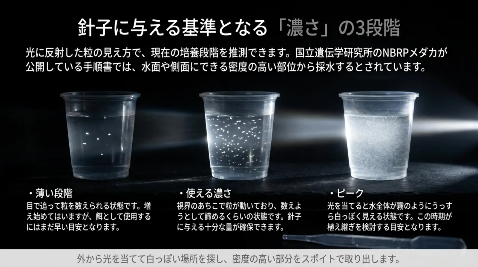 横から光を当てたカップ3つで、粒を数えられる薄い段階、数えきれない使える濃さ、水全体が霧のように白いピークを並べたスライド