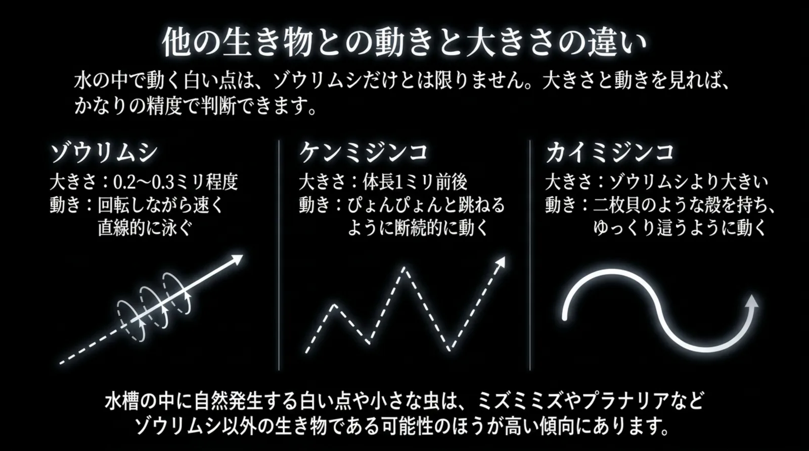 ゾウリムシ・ケンミジンコ・カイミジンコの大きさと動き方を、回転しながらの直進・跳ねるような動き・這うような動きの線画で比べたスライド