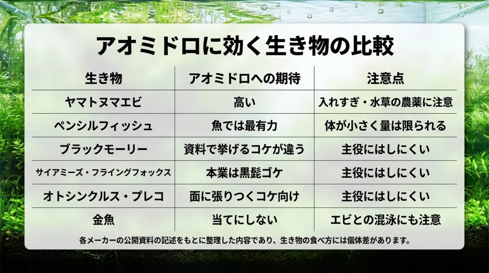ヤマトヌマエビ、ペンシルフィッシュ、ブラックモーリー、サイアミーズ・フライングフォックス、オトシンクルスとプレコ、金魚のアオミドロへの期待と注意点を比べた表のスライド