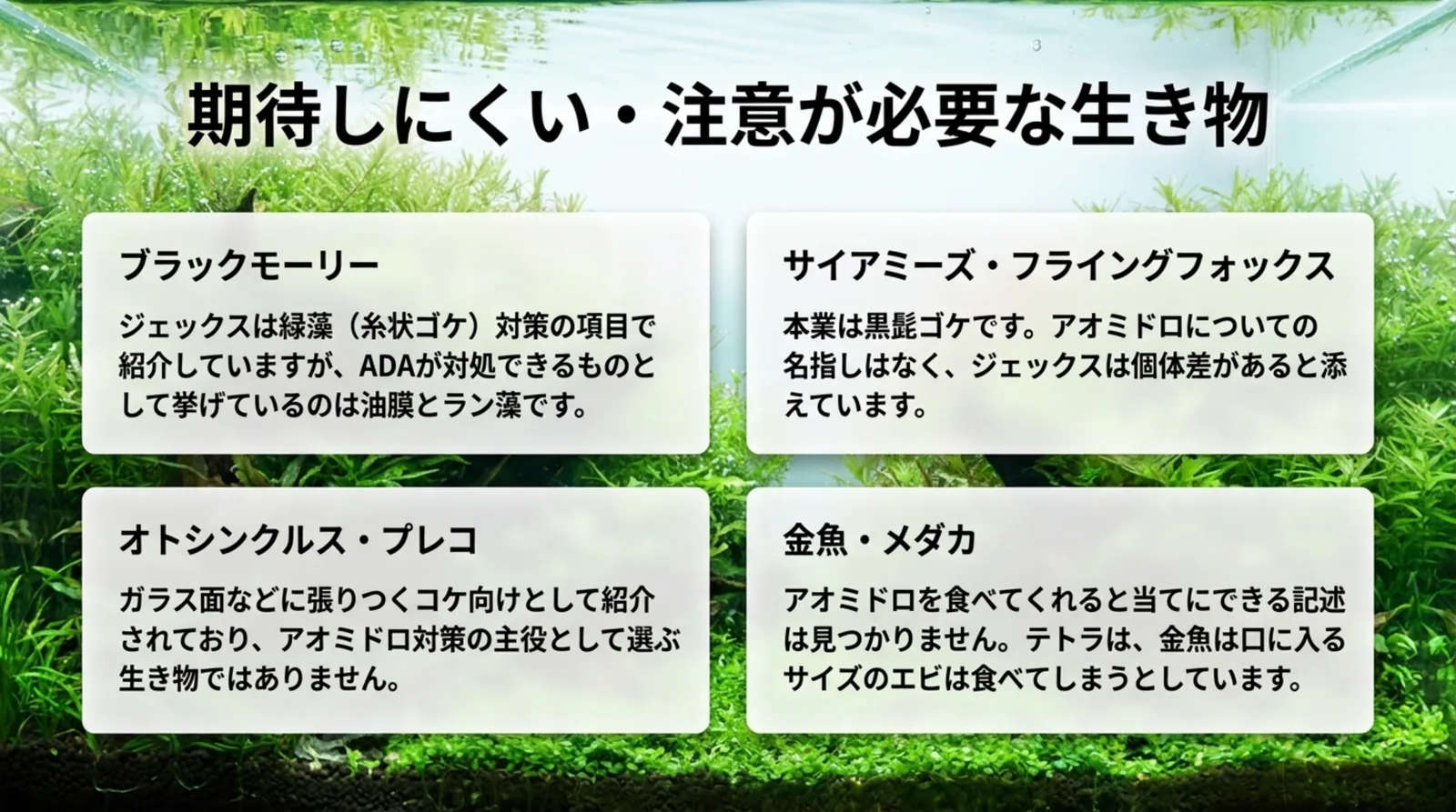 ブラックモーリー、サイアミーズ・フライングフォックス、オトシンクルスとプレコ、金魚とメダカについて資料の書き方の違いをまとめたスライド