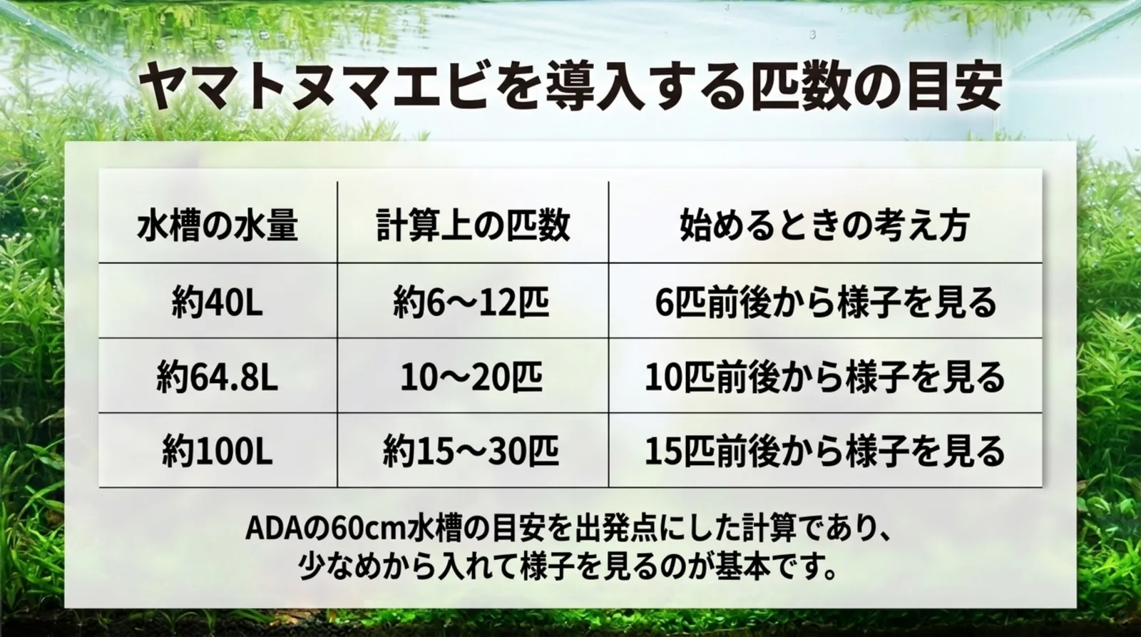 水量40L、64.8L、100Lごとにヤマトヌマエビの計算上の匹数と始めるときの数をまとめた表のスライド