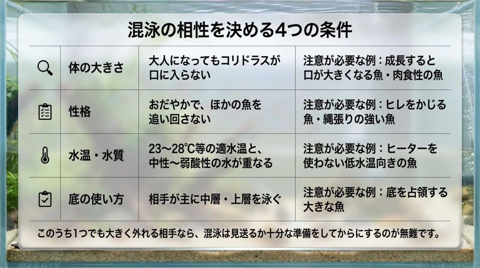体の大きさ・性格・水温と水質・底の使い方の4項目で、混泳の目安と注意が必要な例をまとめた表のスライド