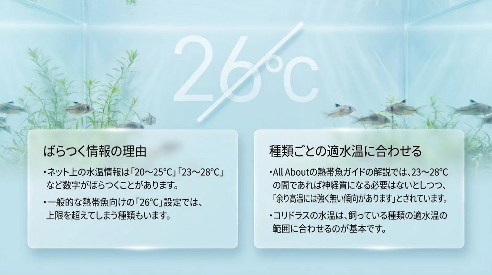 ネットで見かける水温の数字がばらつく理由と、種類ごとの適水温に合わせる考え方を2つの枠で整理したスライド