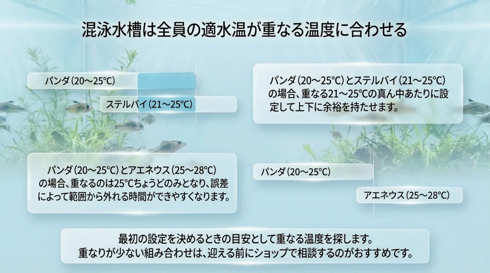 パンダとステルバイ、パンダとアエネウスの適水温の帯を並べ、重なる温度の範囲を示したスライド