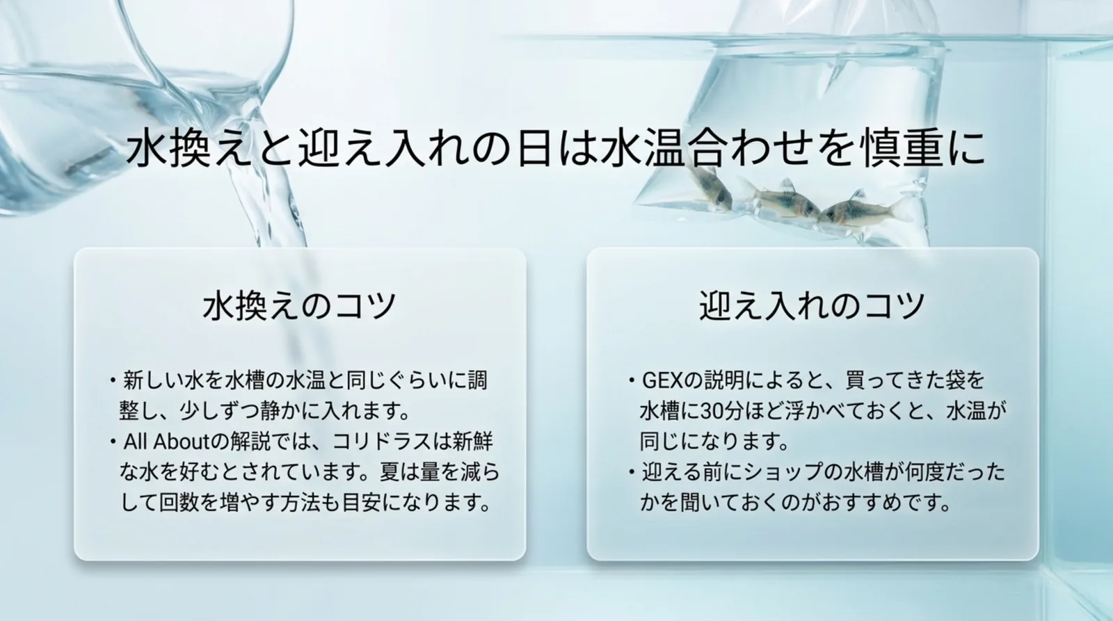 水換えの水を注ぐ写真と袋に入ったコリドラスの写真を背景に、水換えと迎え入れの水温合わせのコツをまとめたスライド