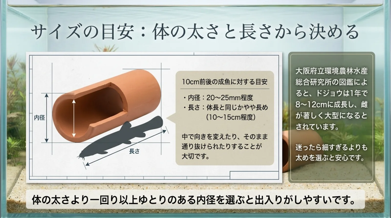 10cm前後のドジョウに対して内径20〜25mm程度・長さ10〜15cm程度を目安とする隠れ家の筒のサイズを図で示したスライド