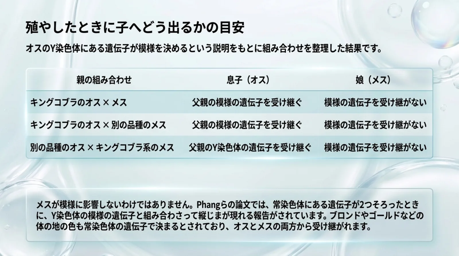 キングコブラのオスとメスの組み合わせごとに、息子と娘が模様の遺伝子を受け継ぐかを整理した表のスライド
