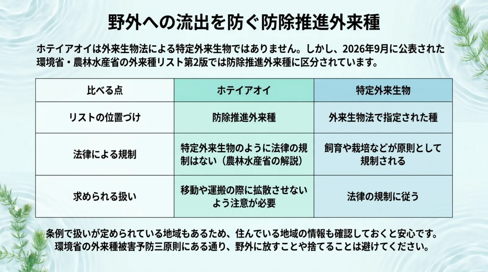 ホテイアオイ(防除推進外来種)と特定外来生物を、リストの位置づけ・法律による規制・求められる扱いで比べた表のスライド